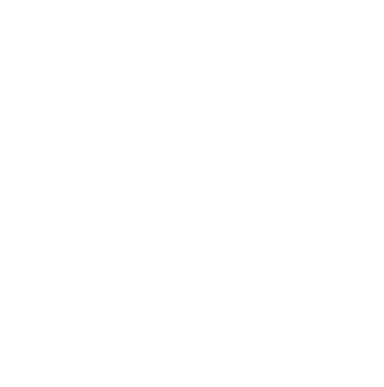 Malcev Consulting Logo